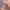 Lipstick 04 – Jen